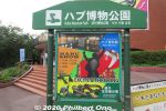 gy250-20201106_0122.jpg
