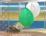 gy262-20201106-10_19_14.jpg