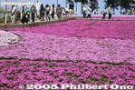 021-IMG_1984.jpg