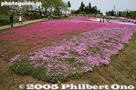 100-IMG_2229.jpg