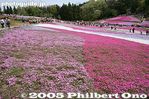 101-IMG_2153.jpg