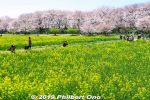 Filename=sa530-20190404_8156a.jpg
Filesize=67KiB
Dimensions=600x400
Date added=Mar 30, 2021 sa530-20190404_8156a.jpg