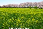 Filename=sa543-20190404_8314a.jpg
Filesize=69KiB
Dimensions=600x400
Date added=Mar 30, 2021 sa543-20190404_8314a.jpg