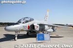 ir312-20101103_7678.jpg