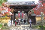 Filename=kn300-20181125_4157.jpg
Filesize=50KiB
Dimensions=600x400
Date added=Nov 06, 2021 kn300-20181125_4157.jpg