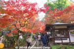 Filename=kn303-20181125_4163.jpg
Filesize=57KiB
Dimensions=600x400
Date added=Nov 06, 2021 kn303-20181125_4163.jpg