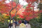 Filename=kn304-20181125_4164.jpg
Filesize=56KiB
Dimensions=600x400
Date added=Nov 06, 2021 kn304-20181125_4164.jpg