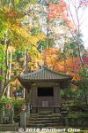 Filename=kn311-20181125_4180.jpg
Filesize=60KiB
Dimensions=400x600
Date added=Nov 06, 2021 kn311-20181125_4180.jpg