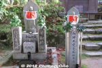kn312-20181125_4181.jpg