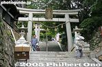 ci455-IMG_1369.jpg