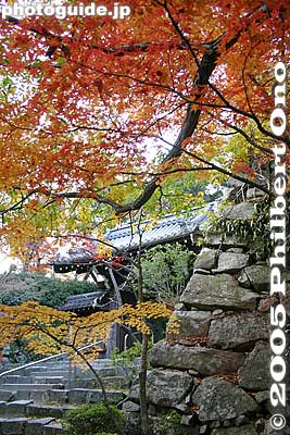 Hachiman-yama Castle wall
Keywords: shiga prefecture omi-hachiman castle fall autumn colors japancastle japanaki