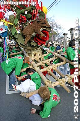 Sometimes a float collapses when float bearers get too tired.
Keywords: shiga omi-hachiman sagicho matsuri festival float boar