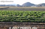 Filename=ta209-20171203-0912.jpg
Filesize=63KiB
Dimensions=500x333
Date added=Oct 06, 2018 ta209-20171203-0912.jpg