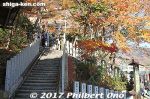 Filename=ta270-20171203-0750.jpg
Filesize=64KiB
Dimensions=500x333
Date added=Oct 06, 2018 ta270-20171203-0750.jpg