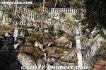 Filename=ta290-20171203-0551.jpg
Filesize=65KiB
Dimensions=500x333
Date added=Oct 06, 2018 ta290-20171203-0551.jpg