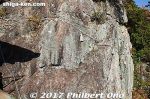 Filename=ta297-20171203-0571.jpg
Filesize=62KiB
Dimensions=500x333
Date added=Oct 06, 2018 ta297-20171203-0571.jpg