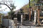 Filename=ta335-20171203-0666.jpg
Filesize=53KiB
Dimensions=500x333
Date added=Oct 06, 2018 ta335-20171203-0666.jpg