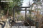 Filename=ta342-20171203-0692.jpg
Filesize=65KiB
Dimensions=500x333
Date added=Oct 06, 2018 ta342-20171203-0692.jpg