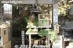 Filename=ta355-20171203-0724.jpg
Filesize=48KiB
Dimensions=500x333
Date added=Oct 06, 2018 ta355-20171203-0724.jpg