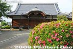tk048-20080601_5825.jpg
