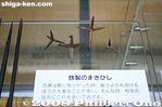 ni041-20080531_5111.jpg