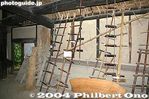 nv029-IMG_5928.jpg