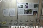 nv035-IMG_5930.jpg