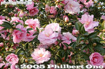 36-IMG_3245.jpg