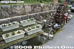 sh022-IMG_2008.jpg