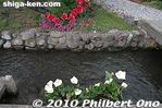 zj105-20100508_2651.jpg