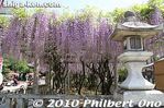 zj112-20100508_2435.jpg
