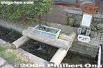 zj141-IMG_1895.jpg