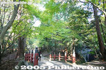 hy306c-IMG_1092.jpg