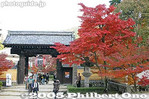 Filename=kt002-IMG_1897.jpg
Filesize=29KiB
Dimensions=400x267
Date added=Dec 07, 2005 kt002-IMG_1897.jpg