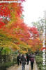 Filename=kt005-IMG_1672.jpg
Filesize=30KiB
Dimensions=267x400
Date added=Dec 07, 2005 kt005-IMG_1672.jpg