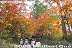 Filename=kt006-IMG_1675.jpg
Filesize=37KiB
Dimensions=400x267
Date added=Dec 07, 2005 kt006-IMG_1675.jpg