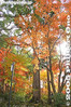 Filename=kt007-IMG_1676.jpg
Filesize=39KiB
Dimensions=267x400
Date added=Dec 07, 2005 kt007-IMG_1676.jpg