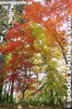 kt008-IMG_1680.jpg