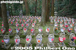 Filename=kt017-IMG_1704.jpg
Filesize=32KiB
Dimensions=400x267
Date added=Dec 07, 2005 kt017-IMG_1704.jpg