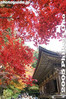 Filename=kt026-IMG_1832.jpg
Filesize=35KiB
Dimensions=267x400
Date added=Dec 07, 2005 kt026-IMG_1832.jpg