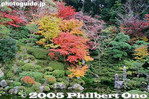 Filename=kt048-IMG_1856.jpg
Filesize=38KiB
Dimensions=400x267
Date added=Dec 07, 2005 kt048-IMG_1856.jpg