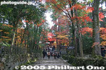 ks019-IMG_1429.jpg