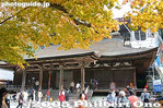 Filename=ks025-IMG_1587.jpg
Filesize=34KiB
Dimensions=400x267
Date added=Dec 08, 2005 ks025-IMG_1587.jpg