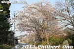 ka421-20110413_7409.jpg