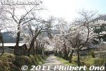 ka600-20110413_7187.jpg