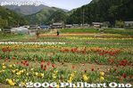tu028-IMG_2277.jpg