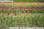 tu030-IMG_2311.jpg