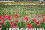 tu044-IMG_2309.jpg