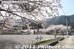 ki305-20110413_7166.jpg