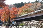 ki341a-20171121-9609.jpg